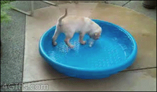 tumblr_mw85r4Kwoo1qdlh1io1_r1_400.gif