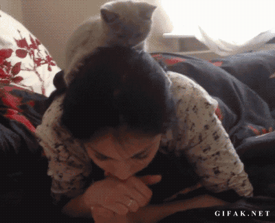 gm6SNNg.gif