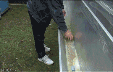 tumblr_n6ptgvxePP1qdlh1io1_400.gif