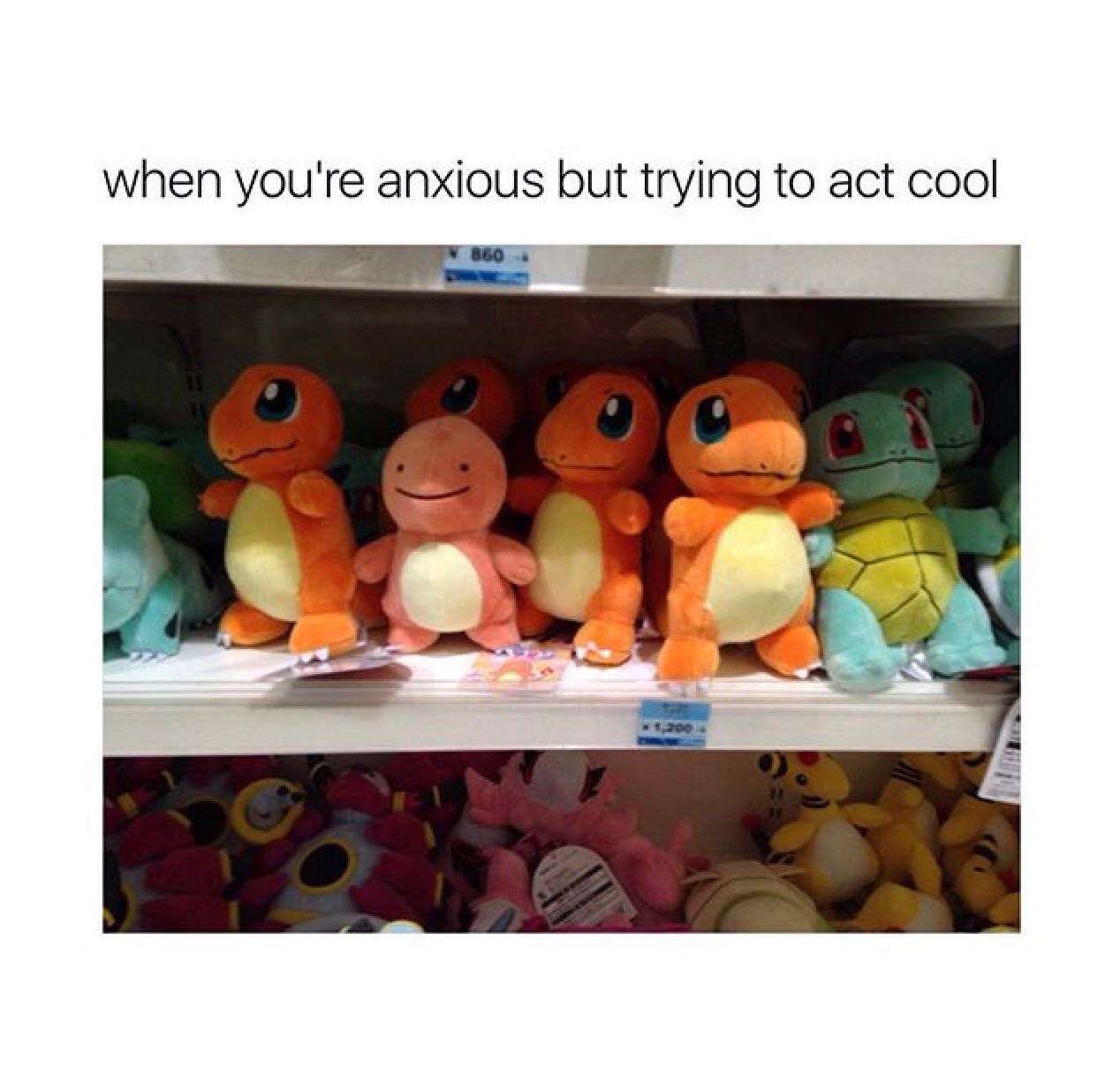 81b.jpg