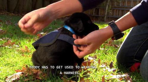 tumblr_mzs45h2AWS1toxnu4o2_500.png