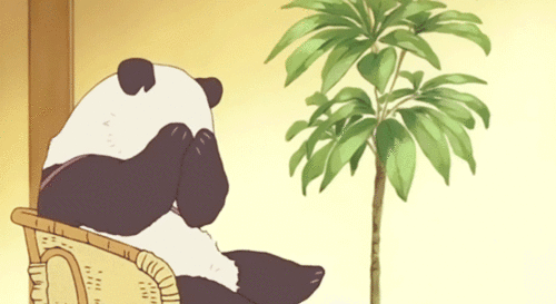 tumblr_n97x0rY4Wx1sq6yw6o1_500.gif