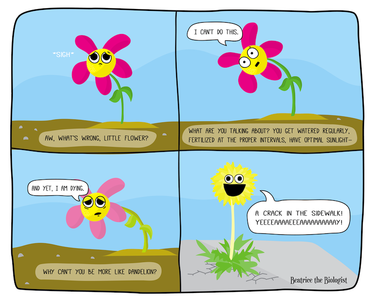 raRq23m.png