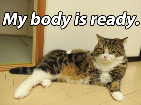 tumblr_lzeo676yC41r3zat8.png