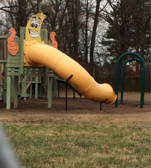 tumblr_n2vljgcXLJ1r5zq6ao1_500.jpg