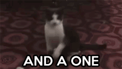 yEIz3.gif