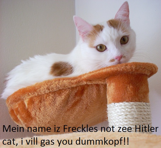 4grYwem.jpg