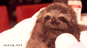ahHNKE4.gif