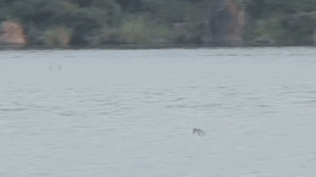 Ujyi6IT.gif