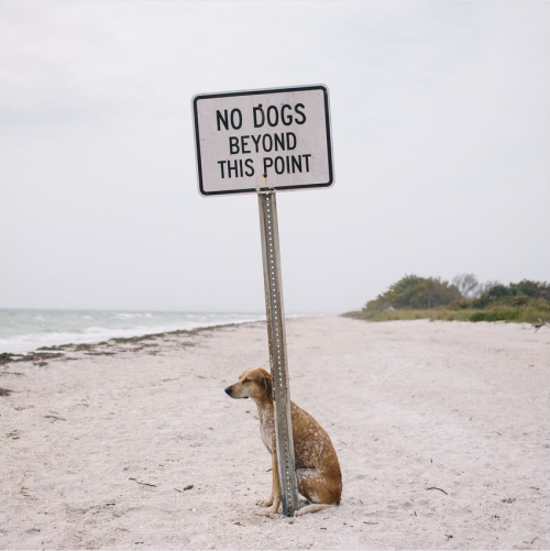 tumblr_mn7u9kr8e01r3r807o4_500.png