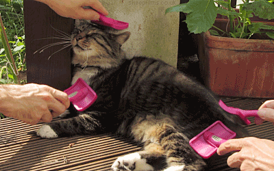 tumblr_ms3044PRvf1s14nvmo1_400.gif
