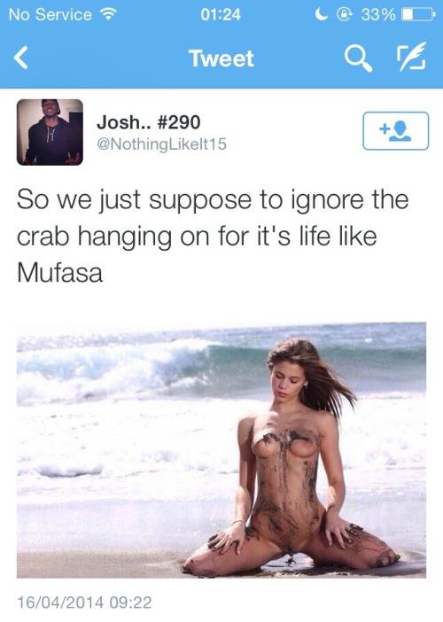 tumblr_n45d472yXY1sv4k8oo1_500.jpg
