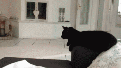 GTbBcnnxkEap8deMiZoz2g2.gif