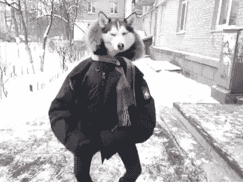 tumblr_m87sl6slFV1qbcyudo1_500.gif