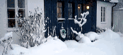 2YFFCAu.gif