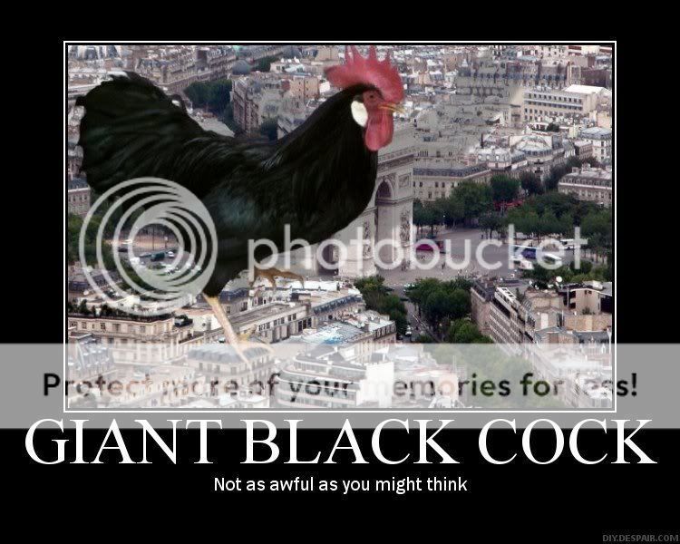 giant-black-rooster.jpg