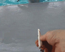 4-20 Marijuana GIF 4-20 Marijuana GIF
