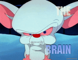 pinky and the brain 90s GIF